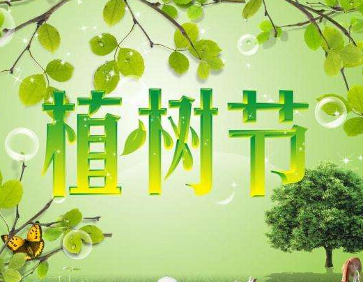 植樹節(jié)：人與樹之間的生命史詩(shī)